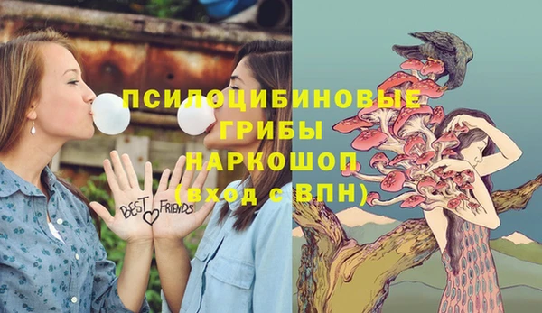 круглые Алзамай