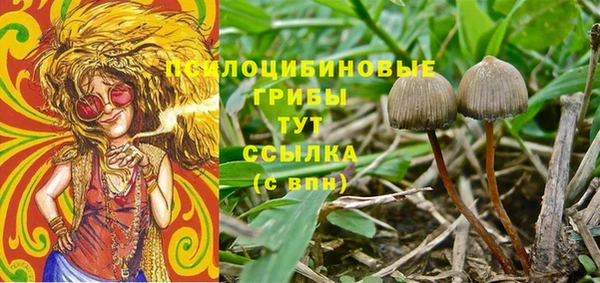 круглые Алзамай